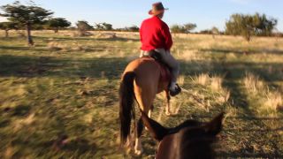 Link to Video | Namibia, landscape, Africa, Equidae, equestrianism, 2008, desire path, equestrian, Savanna, human, tourist, horse, trip, nature, wilderness