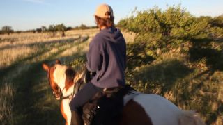 Link to Video | Namibia, landscape, Africa, Equidae, equestrianism, 2008, desire path, equestrian, Savanna, human, tourist, horse, trip, nature, wilderness