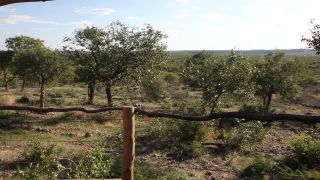 Link to Video | Namibia, 2008, lodging, lodge, Etosha National Park