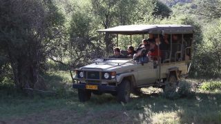Link to Video | Namibia, Africa, 2008, Waterberg, safari