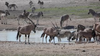 Link to Video | Namibia, Africa, Full High Definition, color
