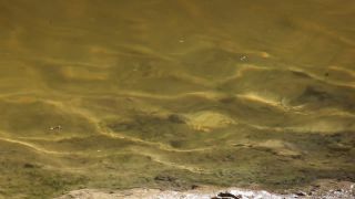 Link to Video | Namibia, Africa, Full High Definition, color