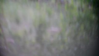 Link to Video