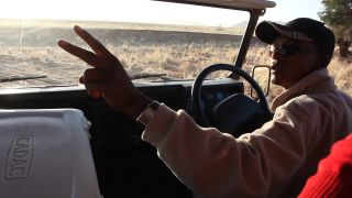Link to Video | Namibia, Africa, 2008, safari, desert