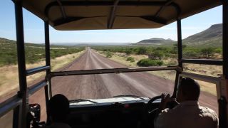 Link zum Video | Namibia, Afrika, 2008, Safari