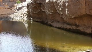 Link to Video | Namibia, Africa, Full High Definition, color, desert