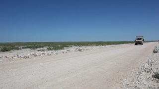 Link zum Video | Namibia, Afrika, 2008, Etosha-Nationalpark, Safari