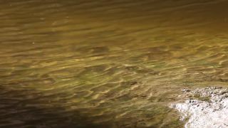 Link to Video | Namibia, Africa, Full High Definition, color, desert