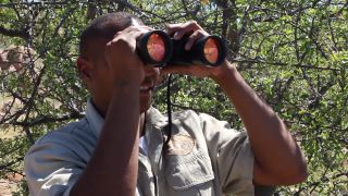 Link to Video | Namibia, landscape, Africa, 2008, Savanna, safari
