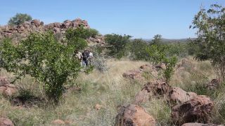 Link to Video | Namibia, landscape, Africa, 2008, Savanna, safari