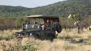 Link to Video | Namibia, Africa, 2008, safari