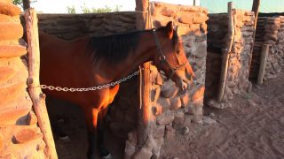 Link to Video | Namibia, Africa, Full High Definition, color
