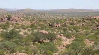 Link to Video | Namibia, landscape, Africa, Full High Definition, Big five game, 2008, color, Savanna, animal, elephant, nature, wilderness