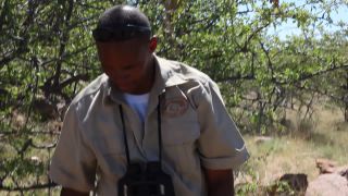 Link zum Video | Namibia, Landschaft, Afrika, 2008, Savanne, Safari