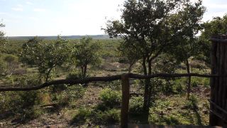 Link to Video