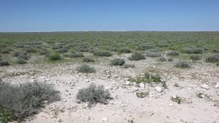 Link to Video | Namibia, Africa, Full High Definition, color