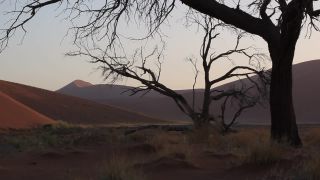 Link to Video | Namibia, Africa, Full High Definition, color, desert