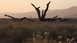 Link to Video | Namibia, Africa, Full High Definition, color