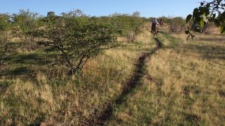 Link to Video | Namibia, landscape, Africa, Equidae, equestrianism, 2008, desire path, equestrian, Savanna, human, tourist, horse, trip, nature, wilderness