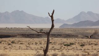 Link to Video | Namibia, Africa, Full High Definition, color