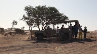 Link to Video | Namibia, Africa, 2008, safari, desert