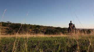 Link to Video | Namibia, landscape, Africa, Equidae, equestrianism, 2008, desire path, equestrian, Savanna, human, tourist, horse, trip, nature, wilderness