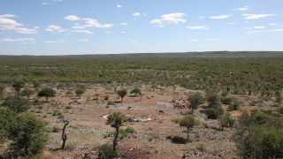 Link to Video | Namibia, Africa, Full High Definition, color, Etosha National Park
