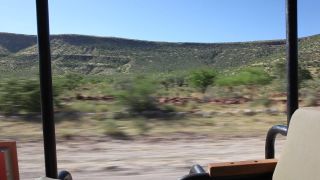 Link to Video | Namibia, Africa, 2008, safari