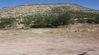 Link to Video | Namibia, Africa, 2008, safari