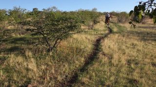 Link to Video | Namibia, landscape, Africa, Equidae, equestrianism, 2008, desire path, equestrian, Savanna, human, tourist, horse, trip, nature, wilderness