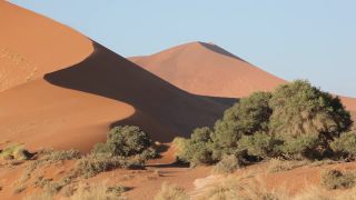 Link to Video | Namibia, Africa, Full High Definition, color, desert