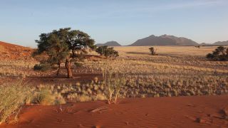 Link to Video | Namibia, Africa, Full High Definition, color, desert