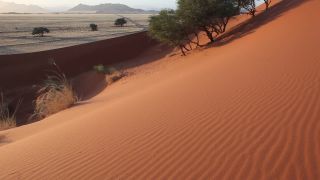 Link to Video | Namibia, Africa, Full High Definition, color