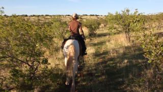 Link to Video | Namibia, landscape, Africa, Equidae, equestrianism, 2008, desire path, equestrian, Savanna, human, tourist, horse, trip, nature, wilderness