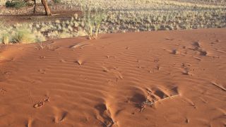 Link zum Video | Namibia, Afrika, Full High Definition, Farbe
