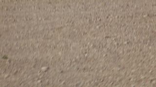 Link to Video | Namibia, airplane with propellers, Africa, Full High Definition, airplane, 2008, Cessna 172 Skyhawk, Cessna aircraft