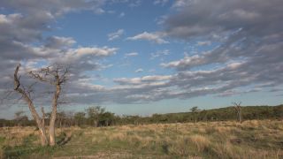 Link to Video | Namibia, Africa, Full High Definition, time-lapse photography, color
