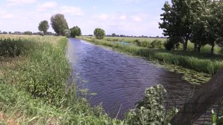 Link to Video | windmill, Netherlands