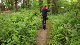 Link to Video | Kingdom of England, Great Britain, Wales