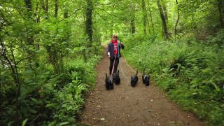 Link to Video | Kingdom of England, Great Britain, Wales