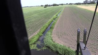 Link to Video | windmill, Netherlands