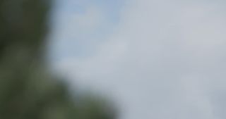 Link to Video | approach, slow motion, airplane, airliner, undercarriage, sky, landing