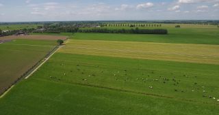 Link to Video | windmill, Netherlands