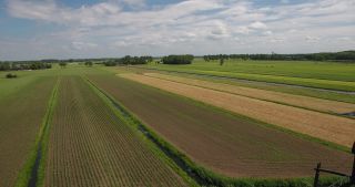 Link to Video | windmill, Netherlands