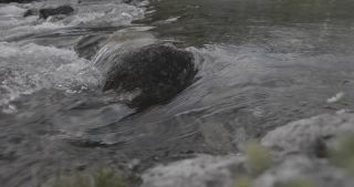 Link to Video | Rohfilm
