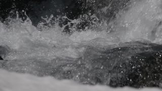 Link to Video | Rohfilm