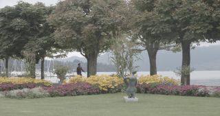 Link to Video | Bäume, August, lawn, urban park, lake, Switzerland, Lucerne, meadow, Blumen