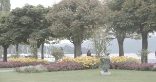 Link zum Video | Bäume, August, Rasen, Volksgarten, See, Schweiz, Luzern, Wiese, Blumen