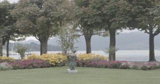 Link to Video | Bäume, August, lawn, urban park, lake, Switzerland, Lucerne, meadow, Blumen