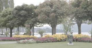 Link to Video | Bäume, August, lawn, urban park, lake, Switzerland, Lucerne, meadow, Blumen